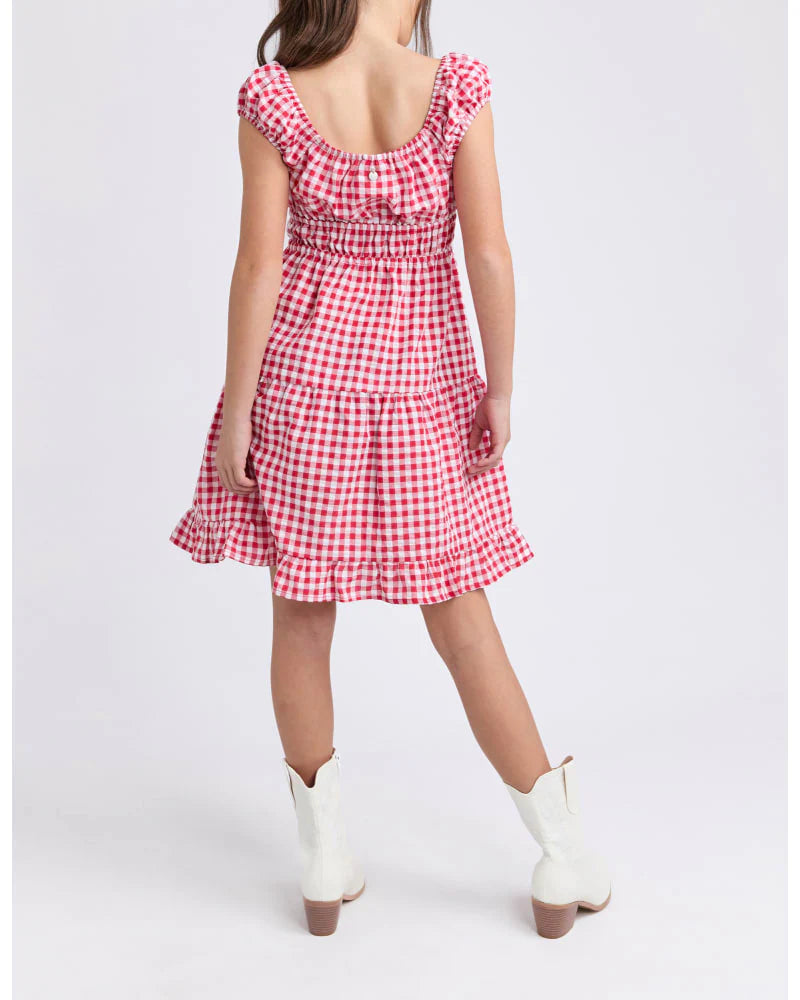 Elsa Gingham Dress-Red