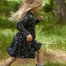 Long Sleeve Twirl Dress - Pollyanna Print