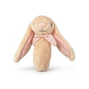 Baby Rattle