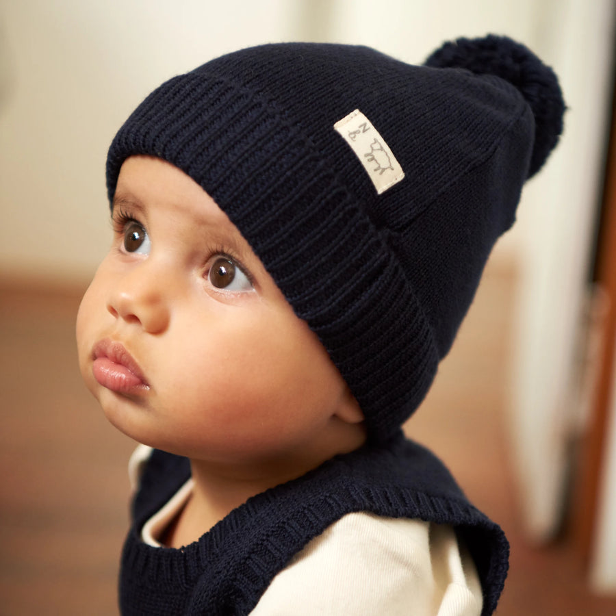 Alpine Pom Pom Beanie