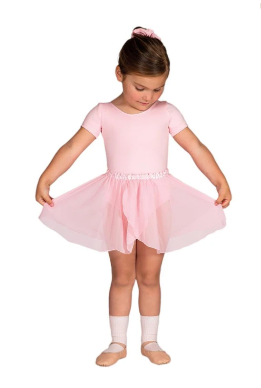 Ballet-Pink Chiffon Skirt
